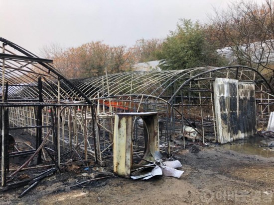 염산면, 설 명전 전 양계장 화재현장 피해복구 자원봉사활동 펼쳐 1.JPG