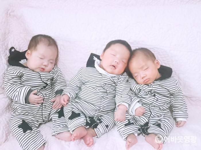 영광군, ‘세쌍둥이 탄생으로’ 큰 행복 3.jpg