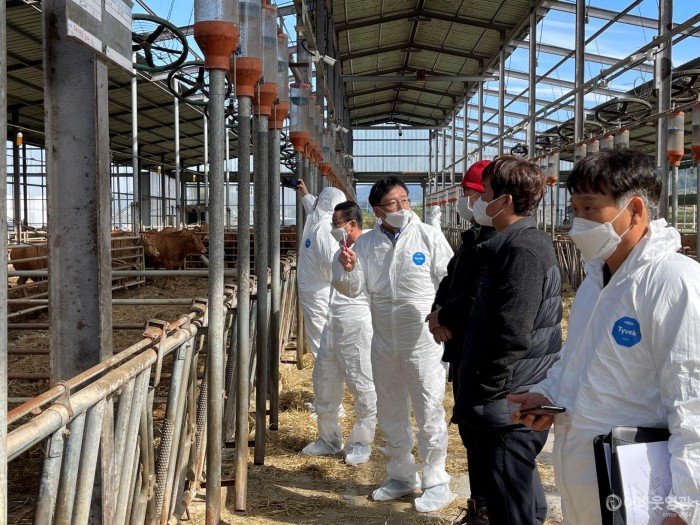 2. 영광군은 지난 20일 한우농가를 대상으로 농촌진흥청 국립축산과학원 전문가를 통한 종합컨설팅을 실시했다.JPG
