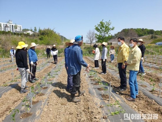 2.지난 4일, 김장오 영광군수 권한대행은 일손돕기 현장을 방문하여 애로사항을 청취하는 시간을 가졌다 .jpeg