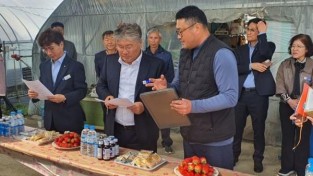 2.사진자료(영광군, 현장에 답이 있다! 농업현장 소통강화!-딸기).jpg