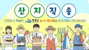 2.사진(영광군 온라인 쇼핑몰 영광몰).jpg