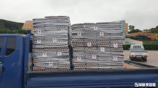 2.사진(보배농장 초란 800판 기탁).jpg