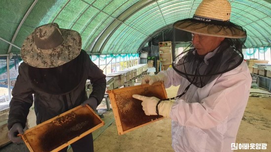 1.사진(영광군, 신규농업인 현장실습 참가자 모집)1.jpeg