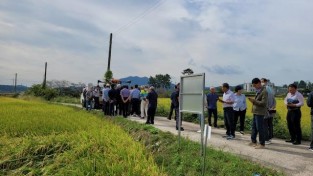 2.사진(영광군, 신품종벼 발굴을 위한 실증포 운영).JPG