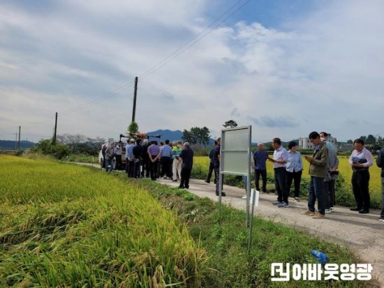 2.사진(영광군, 신품종벼 발굴을 위한 실증포 운영).JPG