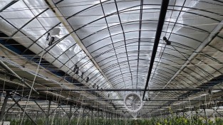 8.사진(영광군, 대설·한파 시설원예작물 현장기술지원 강화).jpg