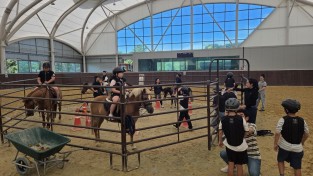 2.보도자료(영광승마장, 합리적 가격의 쿠폰제 회원 운영)1.jpeg