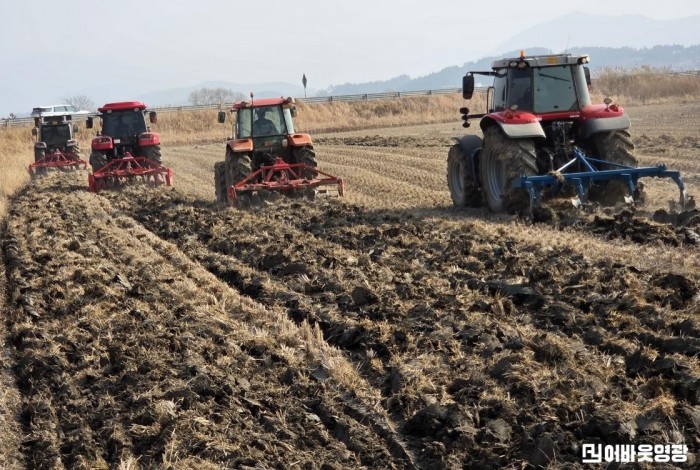 4.보도자료(영광군, 왕우렁이 월동 방지 위한 선제 대응 추진)1.jpg