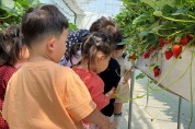 영광군, 어린이농부 딸기 체험 프로그램 진행