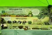 영광군, 2025 영광 법성포 단오제 떡산업 식품전 홍보부스 운영