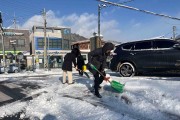 홍농읍, 시가지 제설작업으로 안전한 겨울길 조성