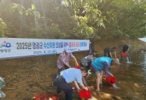 영광군, 내수면 수산자원 회복 위한 고부가가치 어종 56만 마리 방류
