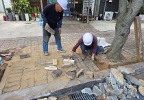 영광군, 가로수 뿌리로 인한 인도 파손 정비… 보행자 안전 확보 나서