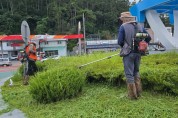 법성면, 추석 명절맞이 도로변 풀베기  및 환경정비 대대적 실시