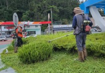 법성면, 추석 명절맞이 도로변 풀베기  및 환경정비 대대적 실시