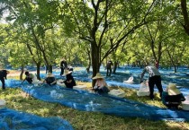 불갑면 · 일자리경제과, 오디농가 농촌일손돕기 추진