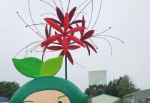 영광군, 2026년 상사화 모시 연구 고도화 추진