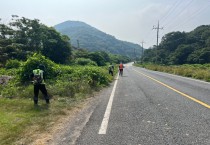 묘량면, 안전한 교통환경 조성 풀베기 작업 실시