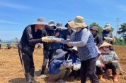 영광군, 폭염 속 농업인 안전 지키는 전방위 대응 나선다
