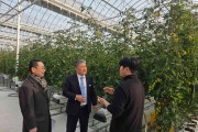 영광군, 청년임대농장·감귤·토마토 농가 현장점검…청년농업 지원 강화