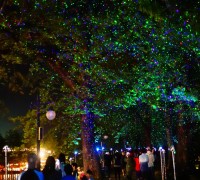 제18회 영광불갑산상사화축제 야간 프로그램 강화