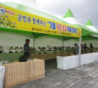 영광군농업기술센터, 가을국화 분재전시회 개최