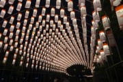 제18회 영광불갑산상사화축제 소원燈(등) 달기 신청하세요!