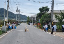 묘량면, 추석맞이 일제 대청소 실시