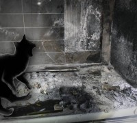 인덕션 화재, 범인은 고양이?…잠금장치 확인 필수