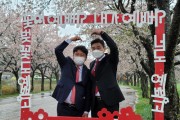 영광JC, 벚꽃사진콘테스트 개최···불갑면 일원 포토존 설치해