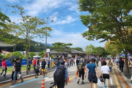 제22회 영광불갑산상사화축제, 가을 대표 꽃축제로 우뚝