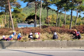 영광군 백수읍, 아름다운 꽃길조성 사업 마무리 단계