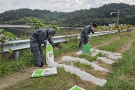 영광군, 철새서식지 방역 및 예찰 등 AI 대응 노력