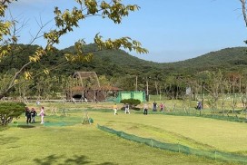 불갑 파크골프장, 천연 잔디 보호 위해 임시 휴장