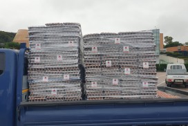 영광읍 보배농장, 경로당에 초란 800판 기탁