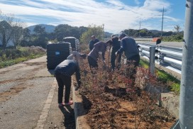묘량면, 쓰레기 상습 투기지역 양심화단 조성