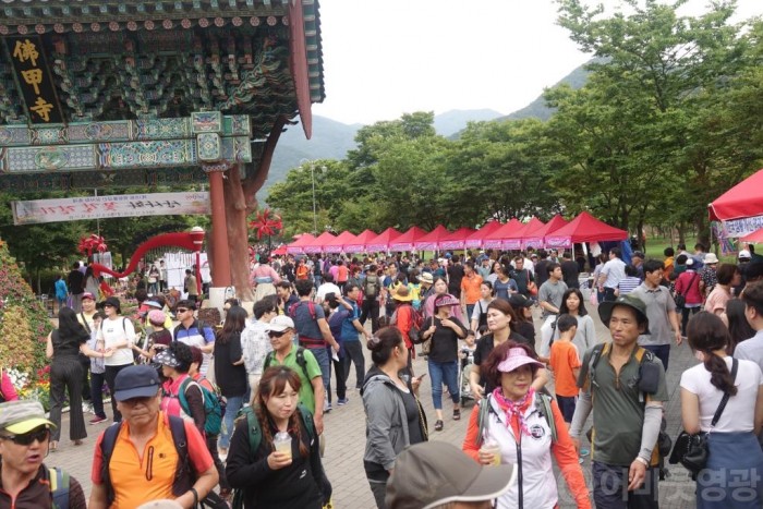 영광군, 불갑산상사화축제 주제 및 재능기부 공모 2.JPG