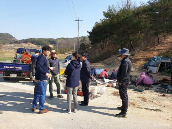 묘량면, 신흥마을 보라색 생약초단지 조성사업 본격 추진 1.jpg