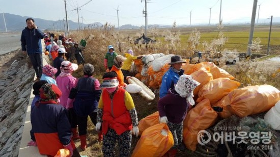 영광 천일염생산자 염전 주변 환경정화활동 전개 1.jpg