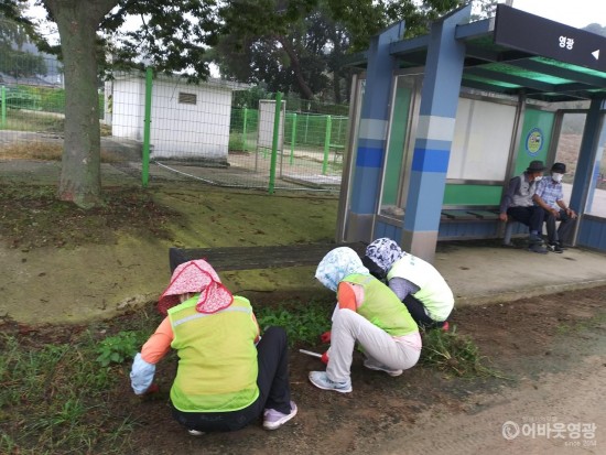 6.영광읍은 지난달 9월 28일부터 10월 5일까지 관내 승강장 53개소를 대창으로 일제 청소를 실시했다.JPG