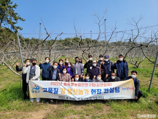 4.감연합회 소속 재배농가대상 감 생산 현장 컨설팅 실시.jpg