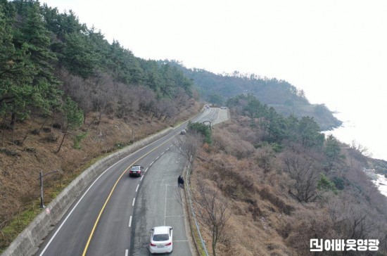 11.사진자료(백수해안도로 산림경관 정비 사업 추진) (2).JPG