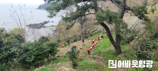 3.사진자료(영광군,서남해안 복원숲 정비) (1).jpg