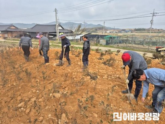 3.사진자료(묘량면, 철쭉심기 및 산불예방 캠페인 실시) (1).jpg