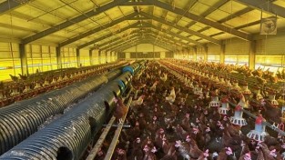 3.영광군, 여름철 가축 재해피해 예방 총력.jpg