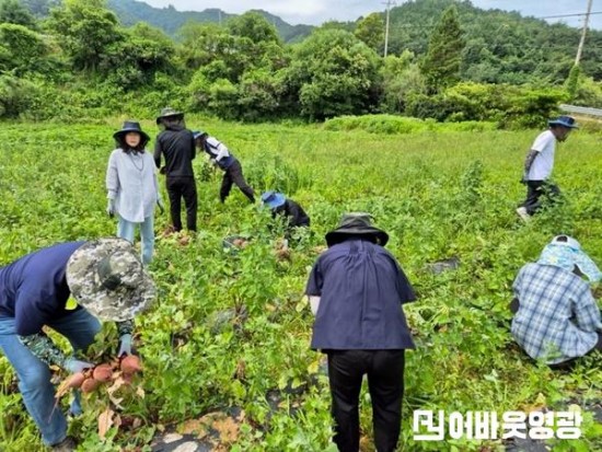 1.묘량면 영농철 농촌일손돕기 (2).jpg