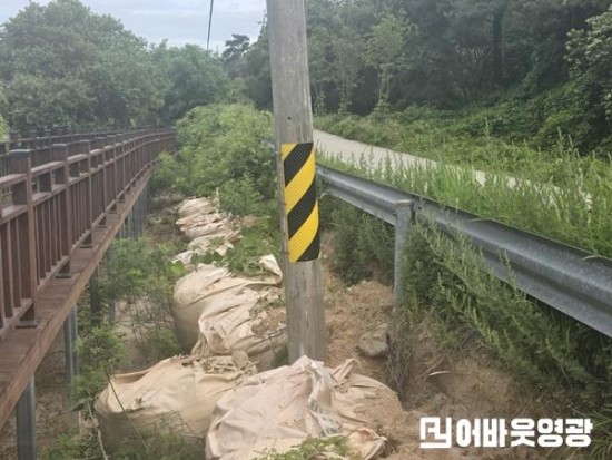 영광군 불갑저수지 ‘물멍쉼터’로 이어지는 데크길 인근. 가드레일 아래 토사가 심하게 쓸려 내려갔고, 전신주는 한쪽으로 기울어진 채 방치돼 있어 안전사고 우려가 제기된다..jpg