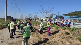 3.사진(노인일자리사업 가을철 안전사고 예방 교육)1.jpeg