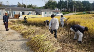 대마초 가래떡.jpg